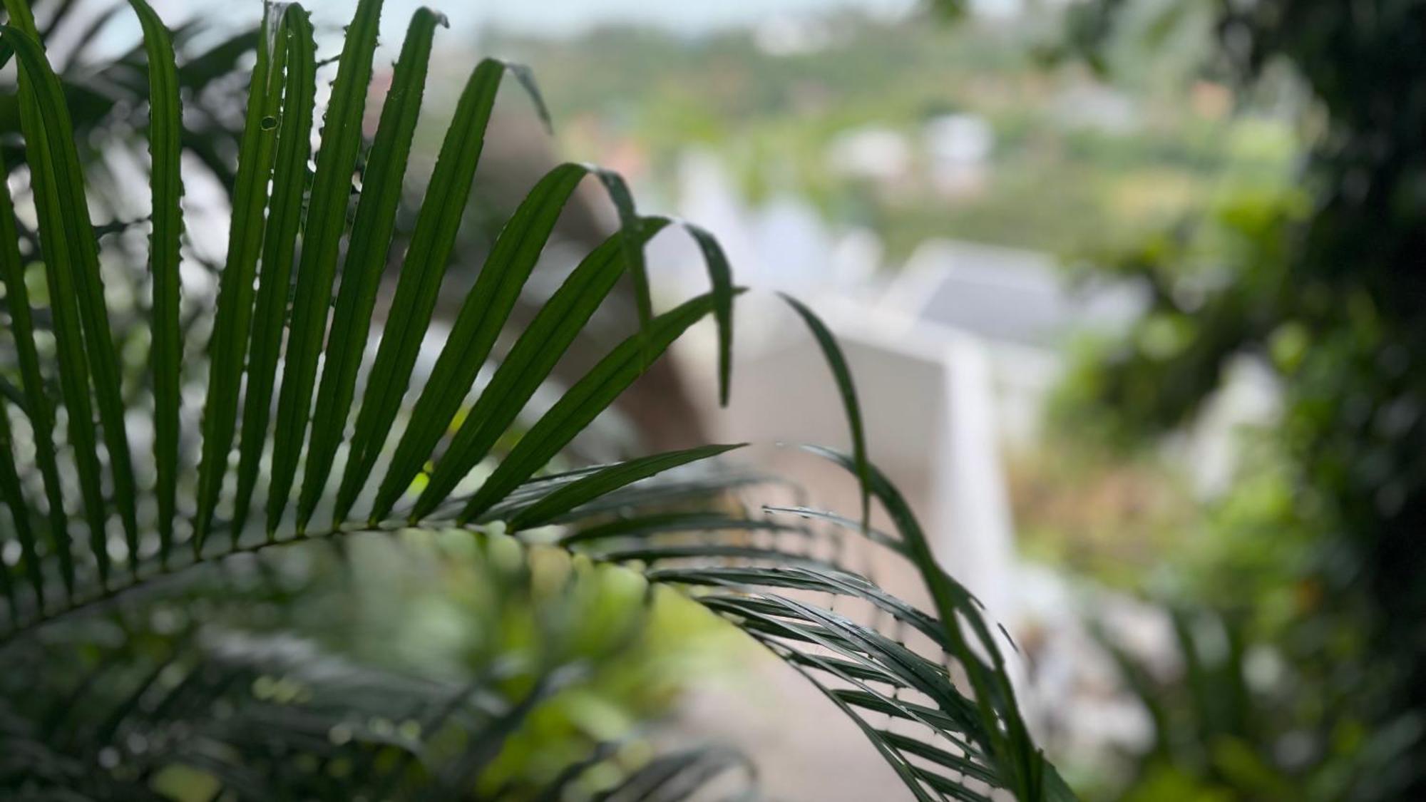 Anzhu Seamate Villa Samui Amphoe Koksamui Zewnętrze zdjęcie